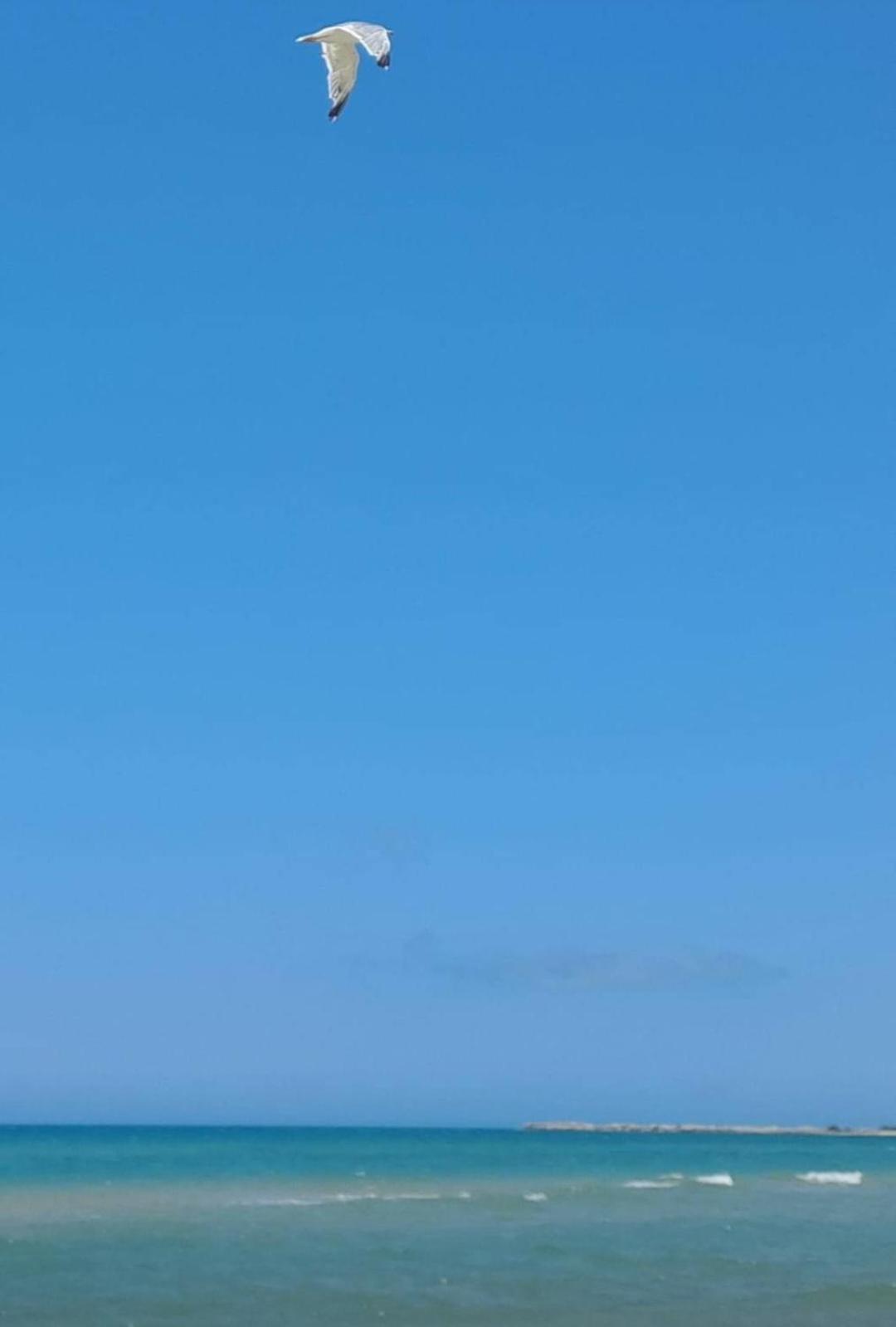 La Foggia Seaside Paradise سيكوليانا المظهر الخارجي الصورة